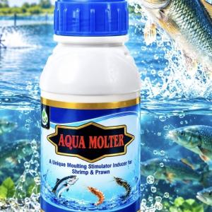 AQUA MOLTER