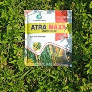 ATRA MAXX 50