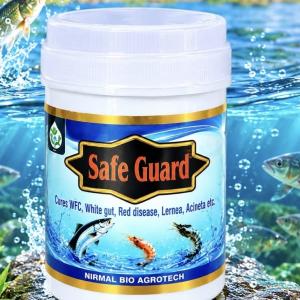 SAFE GUARD