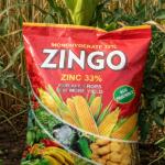 ZINGO